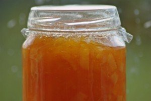 Orange Marmalade Aug09